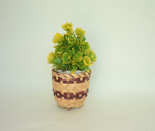 Indoor Bamboo Planter | Small Size