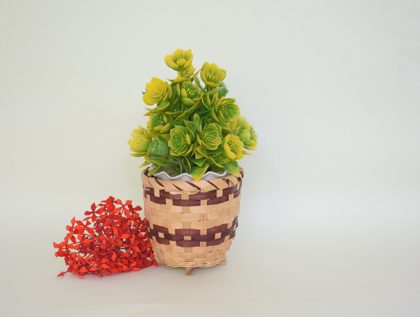Indoor Bamboo Planter | Small Size
