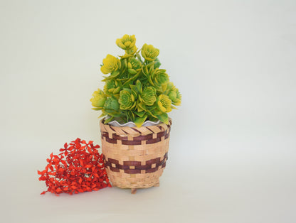 Indoor Bamboo Planter | Small Size