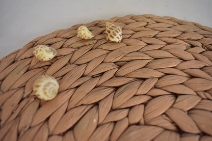 Water Hyacinth Table Mat | Round Mat